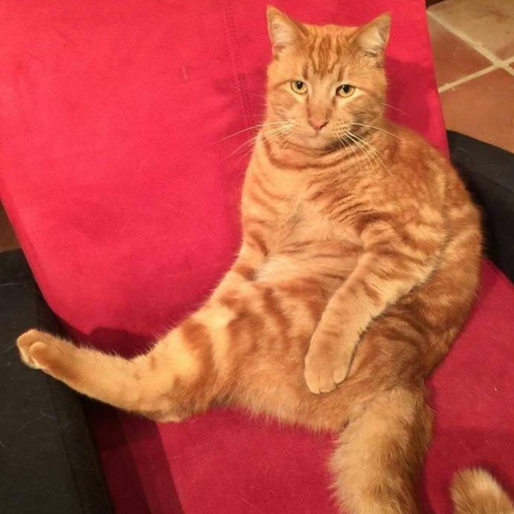 Meet your Posher, Aurilene